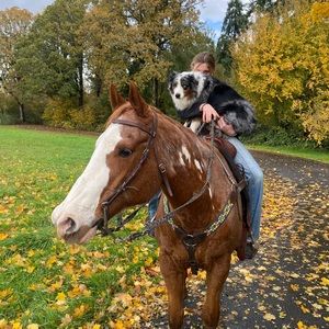 Meet your Posher, Ellie